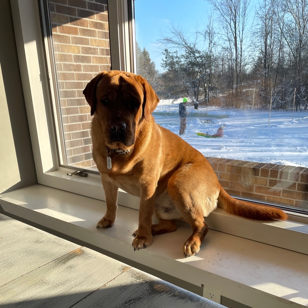 Meet your Posher, Irina